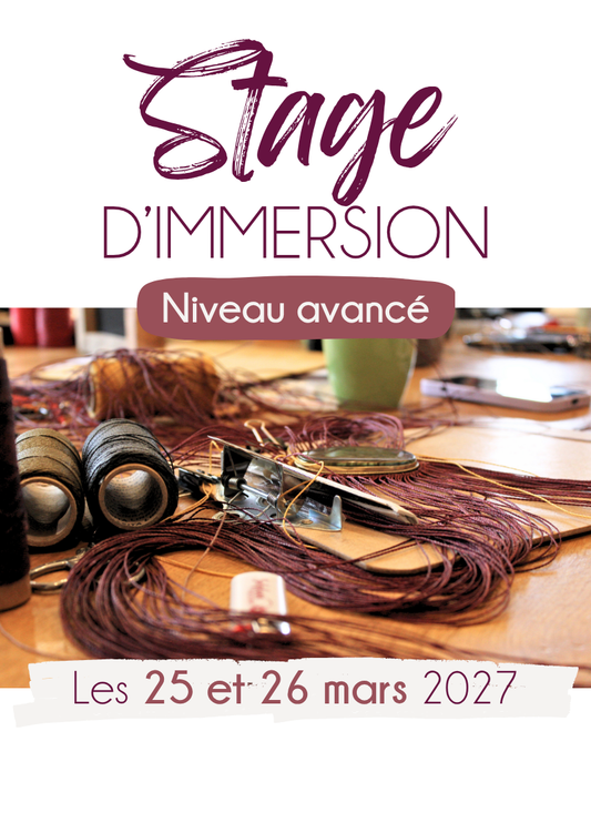 Stage d’immersion - Niveau avancé - Les 25 et 26 Mars 2027
